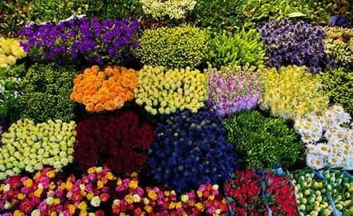 dadar flower market mumbai