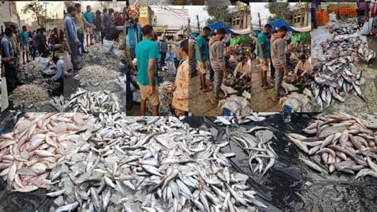 Ramnagar Fish Market Hyderabad